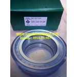 VÒNG BI SL04 5024-PP-2NR INA